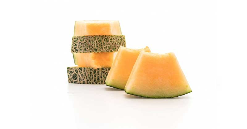 nutritious melon