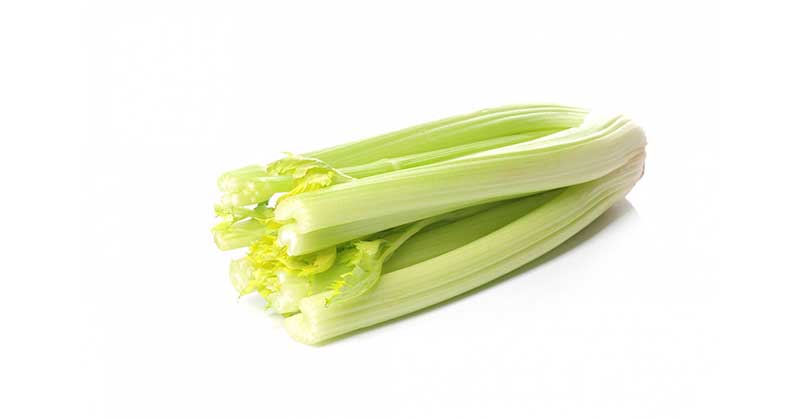 food for summer