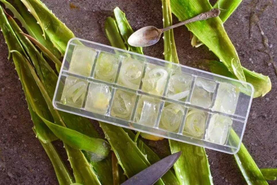 cosmetic cubes aloe