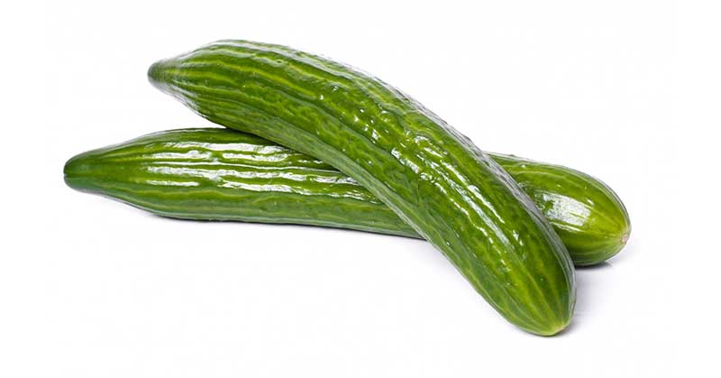 beneficial and hydrating food cucumber