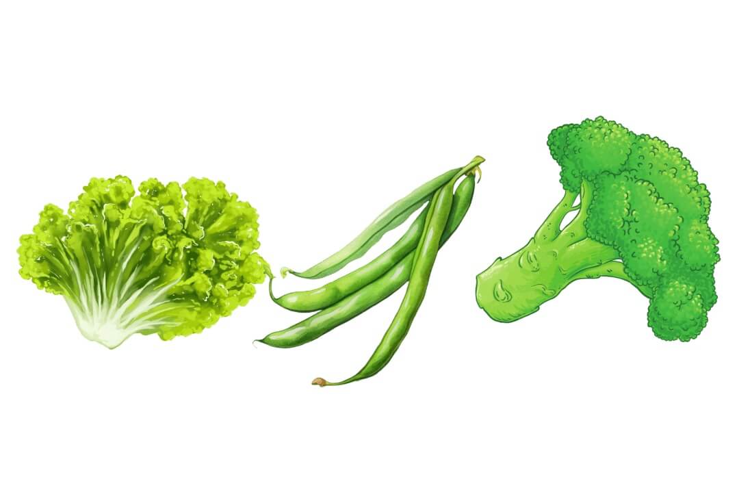 green color vegetables