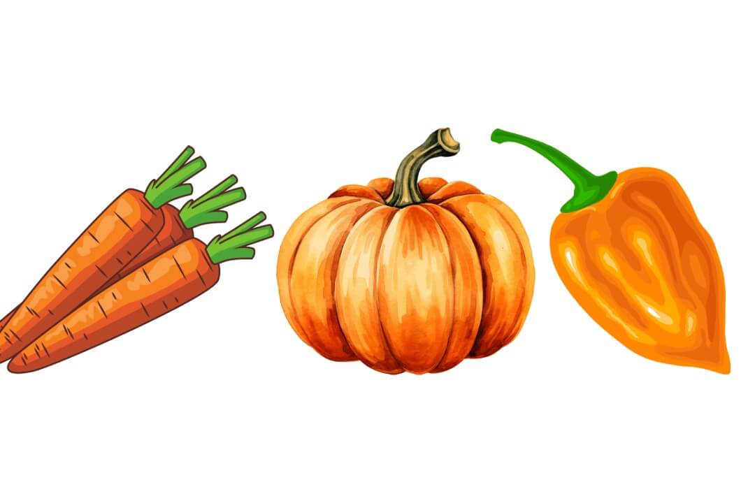 orange color vegetables
