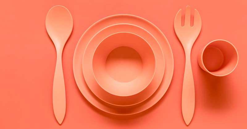 silicone dishes