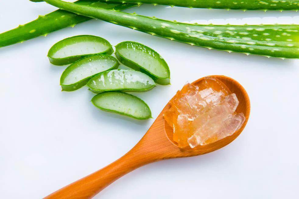 aloe gel